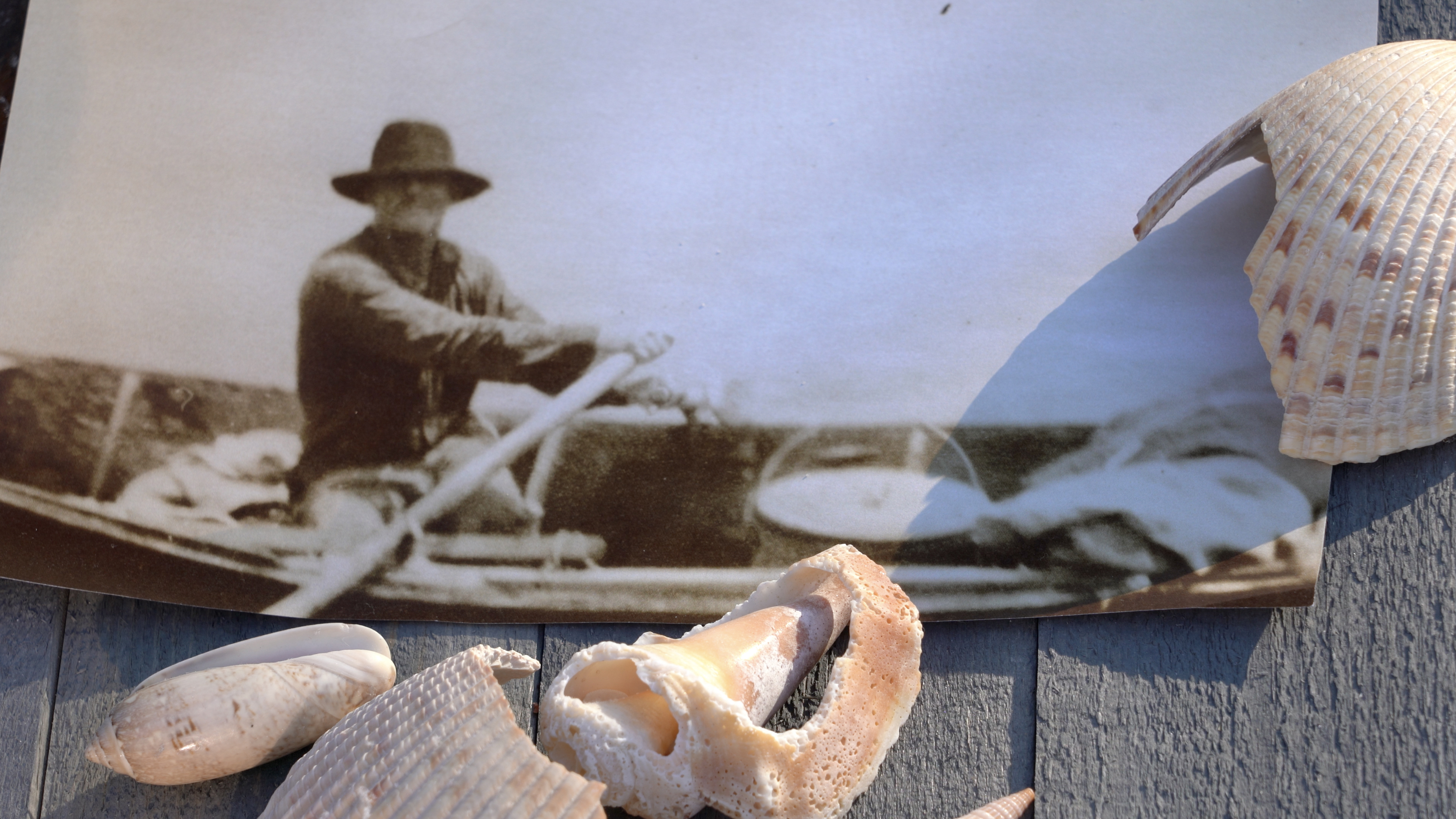 Photograph of Walter Anderson rowing. Download a zipped file of promotional materials in the Additional Assets section below.